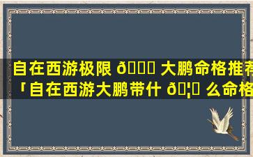 自在西游极限 🐟 大鹏命格推荐「自在西游大鹏带什 🦋 么命格」